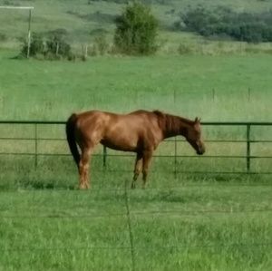 Meet your Posher, Robin